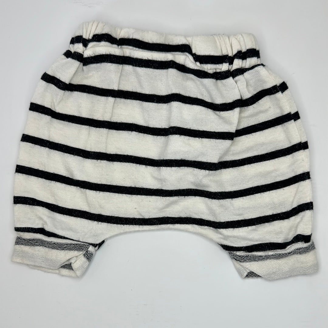 6M Harem shorts